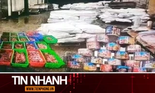 TIN NHANH: Hơn 120 tấn thịt bệnh dịch tả heo châu Phi tuồn vào Công ty Cổ phần đồ hộp Hạ Long như thế nào?