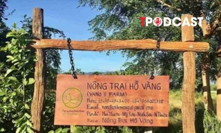 NÓNG 6/3: Sự thật về 'Nông trại Hồ Vàng' của ông Thích Nhuận Đạt 