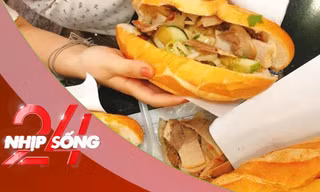 NHỊP SỐNG 24: Vụ hơn 100 người ngộ độc ở Nha Trang: Vi khuẩn Salmonella là gì, vì sao hay có trong bánh mì?