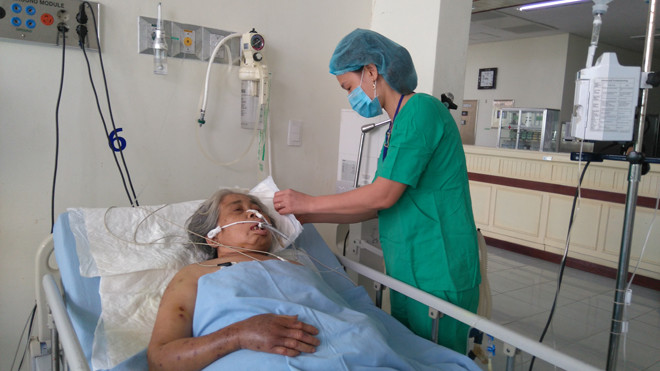 Các bác sĩ chăm sóc cho bệnh nhân bị ong đốt 200 mũi