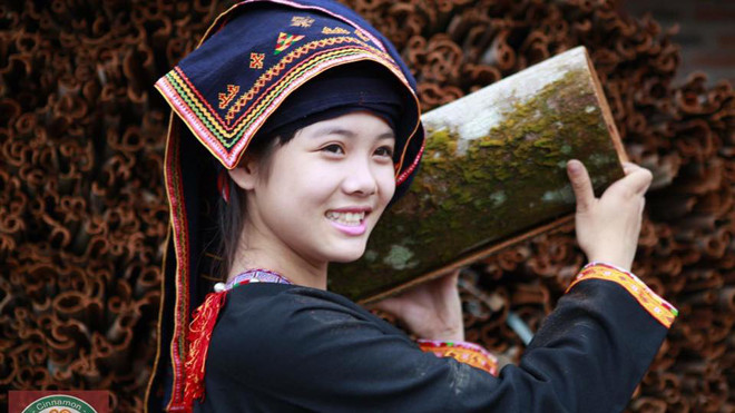 Mãn nhãn ngắm thiếu nữ Dao trong rừng quế 