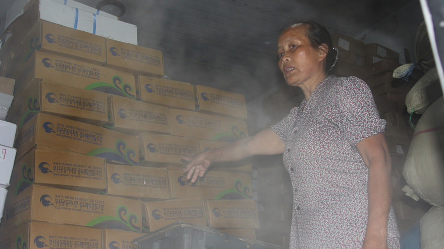 Chị Nguyễn Thị Nguyệt, chủ cơ sở đông lạnh Nguyệt Quyền buồn bã bên hàng tỷ đồng tiền cá nhập về từ Hàn Quốc từ tháng 3 vẫn còn nguyên vẹn (Ảnh 5).