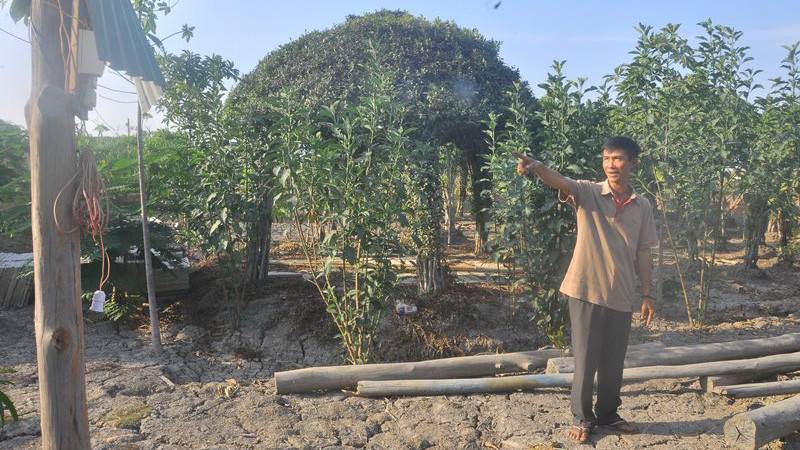 Ông Bỉ trên khu đất xây dựng chòi lá của mình bị khởi tố. Ảnh Việt Văn 