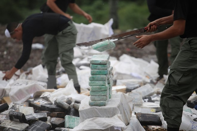 Ảnh minh họa. (Nguồn: THX/TTXVN)