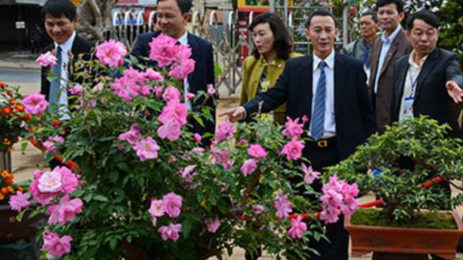 Tham quan Hội hoa xuân Đà Lạt