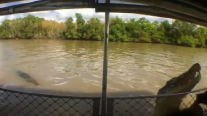  Con cá sấu nhảy lên sát một du khách ngồi sau rào chắn. Ảnh: Youtube. 
