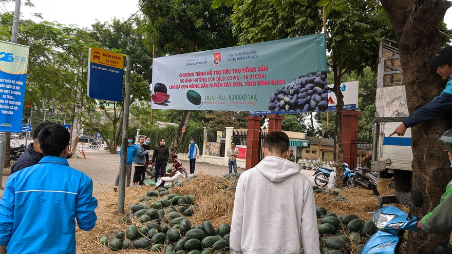 Tuổi trẻ Bình Định tham gia "giải cứu' dưa hấu trong mùa dịch.