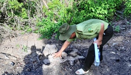 Cán bộ kiểm lâm đo thân cây bị chặt phá. Ảnh: BĐO