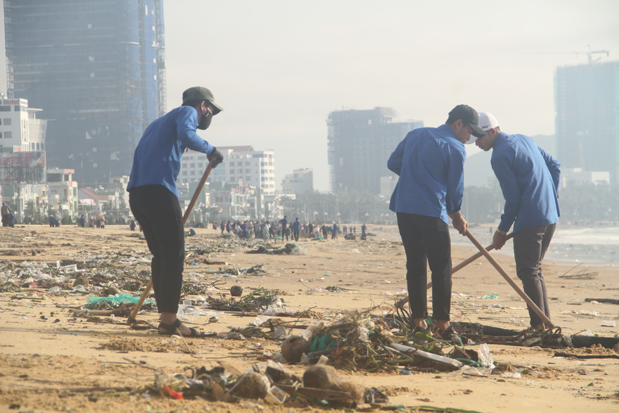 Hơn 1000 đoàn viên thanh niên và người dân trên địa bàn TP Quy Nhơn (Bình Định) đã ra quân dọn dẹp bãi biển sau bão, cơn bão số 5. Ảnh: Tr.Định