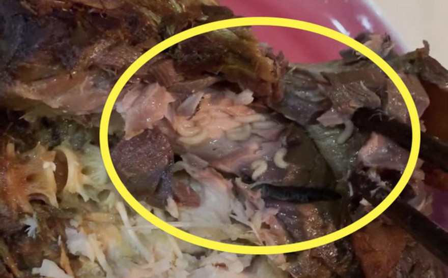 Chuỗi thực phẩm sạch Hà Nội đóng cửa vì sự cố giòi bò, LG dừng kinh doanh điện thoại