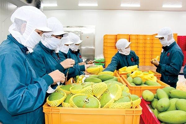 Xuất khẩu nông sản đạt gần 11 tỷ USD trong quý I/2021