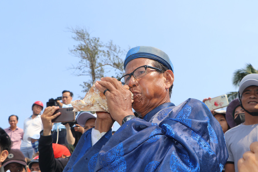 Những cây đại thụ Hoàng Sa