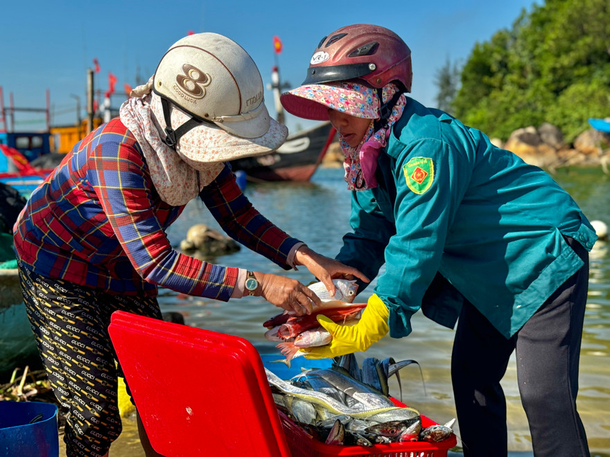 Quảng Ngãi: Bình minh ở làng chài Sơn Trà
