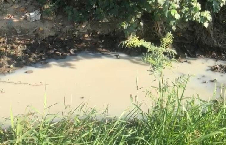 Nước kênh ở Quảng Ngãi trắng như sữa, hôi nồng nặc