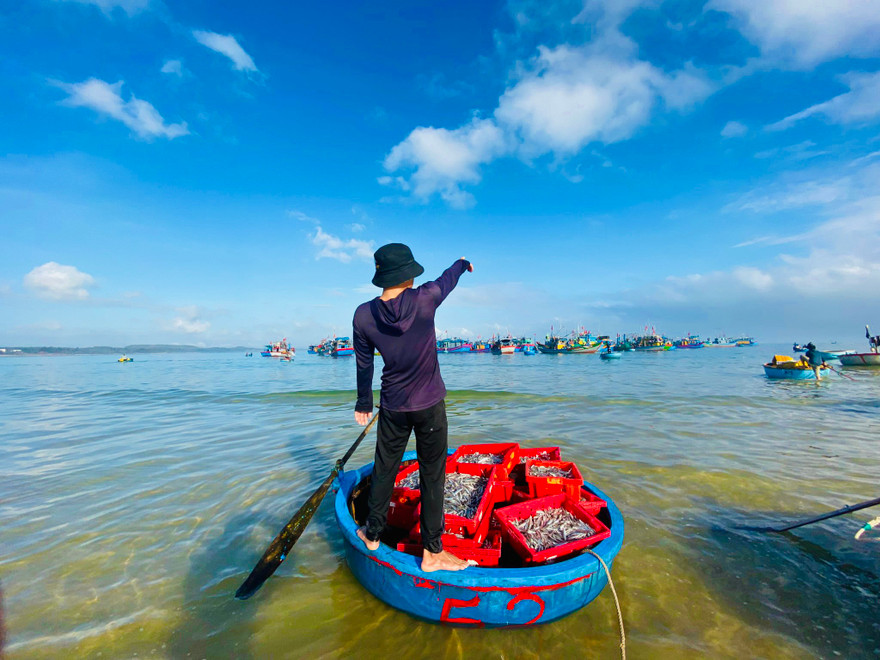 Bình minh nơi chợ cá độc nhất vô nhị ở Quảng Ngãi