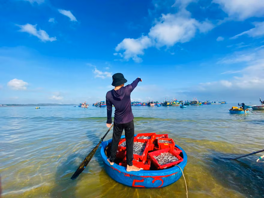 Bình minh nơi chợ cá độc nhất vô nhị ở Quảng Ngãi