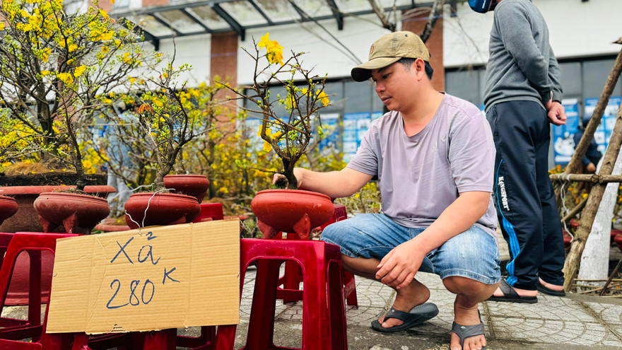 Chợ hoa Tết ế ẩm chưa từng có, tiểu thương treo biển 'xả hàng' nhưng vẫn không có người mua