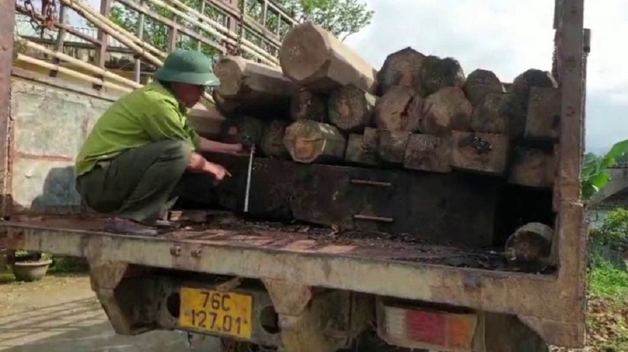 Xe tải chở gỗ bị lực lượng kiểm lâm Bắc Trà My bắt giữ. Ảnh: TC