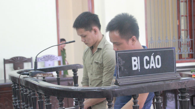 Hai bị cáo cúi đầu nhận tội trước vành móng ngựa