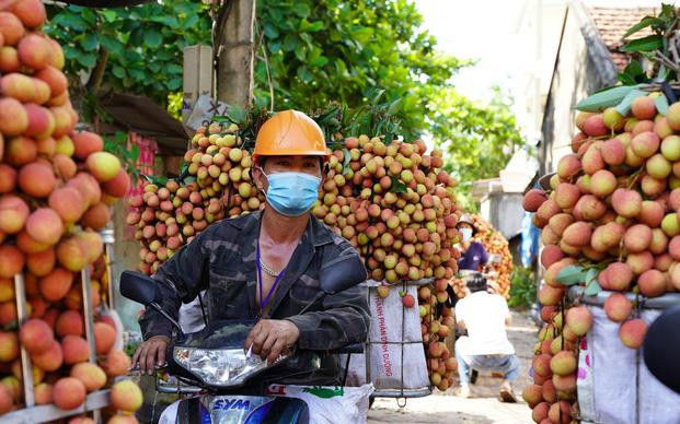 Ưu tiên tiêm vắc xin cho các lái xe, thương lái thu mua nông sản