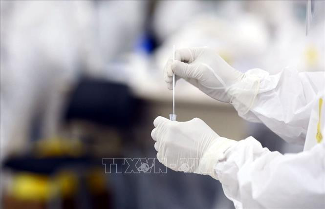 Lấy mẫu xét nghiệm nhanh kháng nguyên SARS-CoV-2. Ảnh minh họa: TTXVN