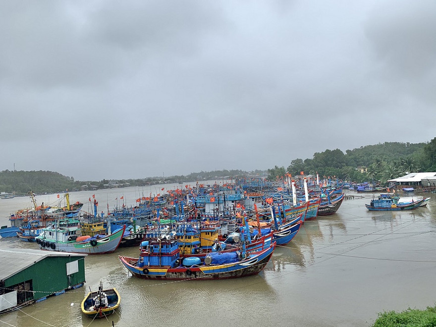 Tàu cá của ngư dân Bình Sơn, tỉnh Quảng Ngãi vào bờ tránh bão số 6. Ảnh: Nguyễn Ngọc