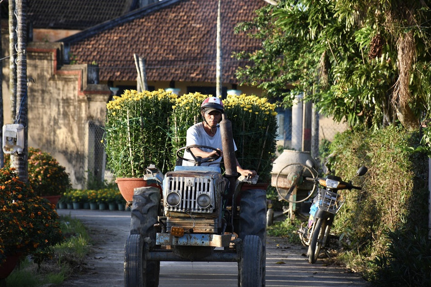 Ảnh: Nguyễn Ngọc