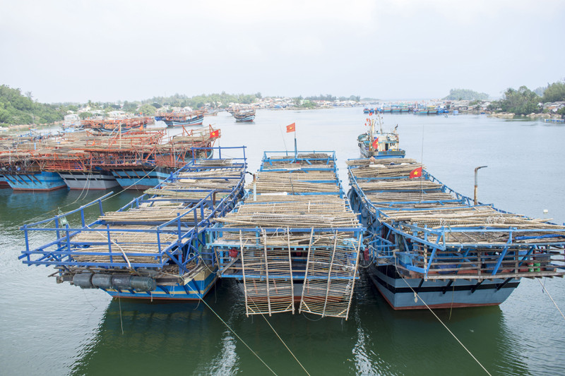 Tàu câu mực của ngư dân xã Bình Chánh, huyện Bình Sơn, tỉnh Quảng Ngãi. (Ảnh minh họa)