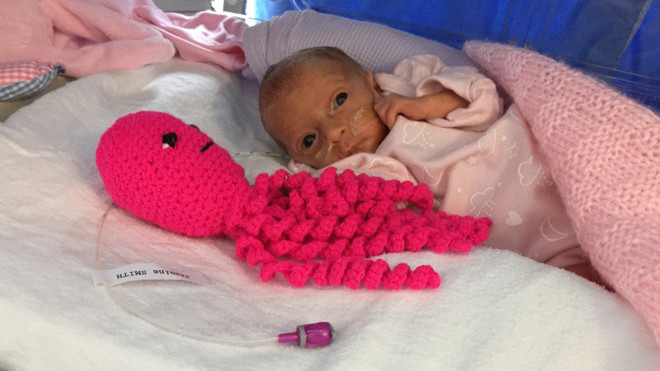 Trẻ sinh non thích thú vui đùa với các chú bạch tuộc bằng len 