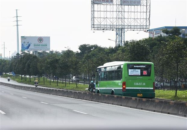 Ảnh minh họa: Hồng Đạt/TTXVN