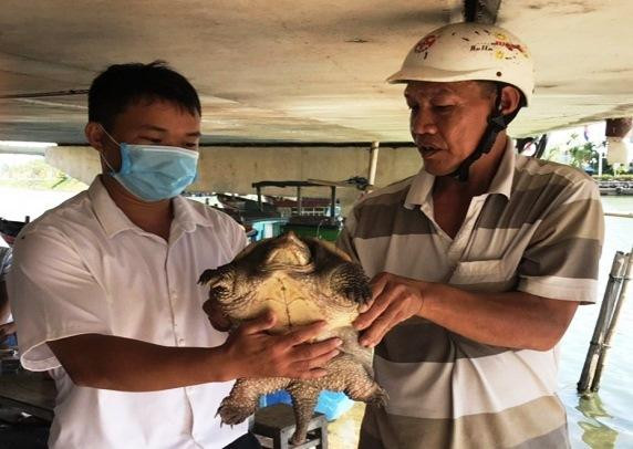 Ngư dân giao nộp cá thể rùa bắt được cho cơ quan chức năng.