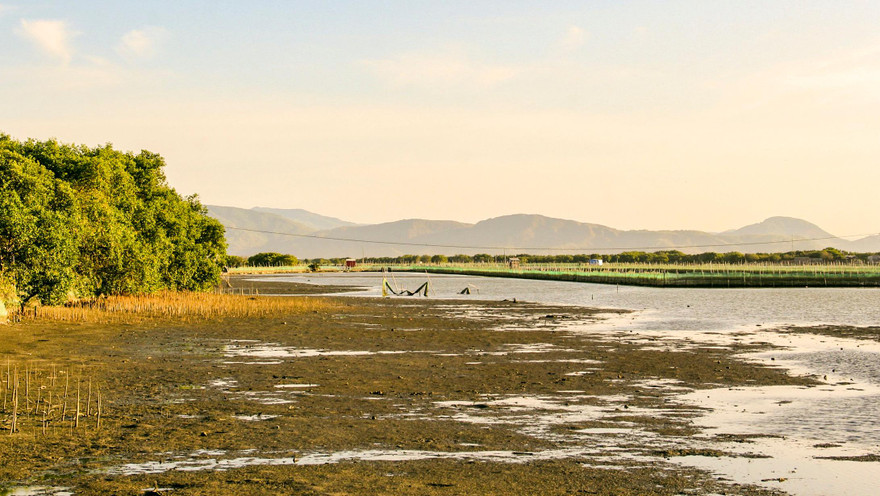 Khu vực Cồn Chim, huyện Tuy Phước (Bình Định).