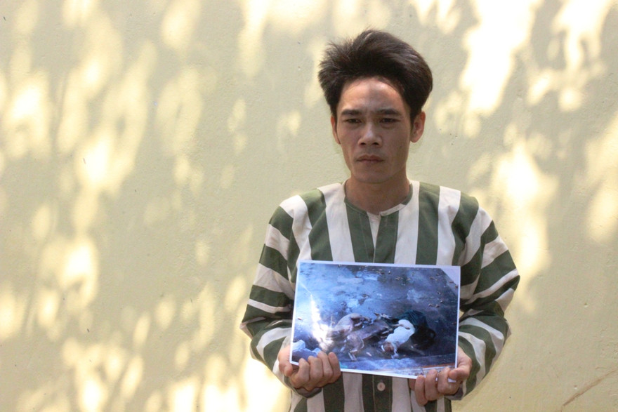 Thiếu tiền xài, vợ chồng Oanh rủ nhau đi trộm chó 