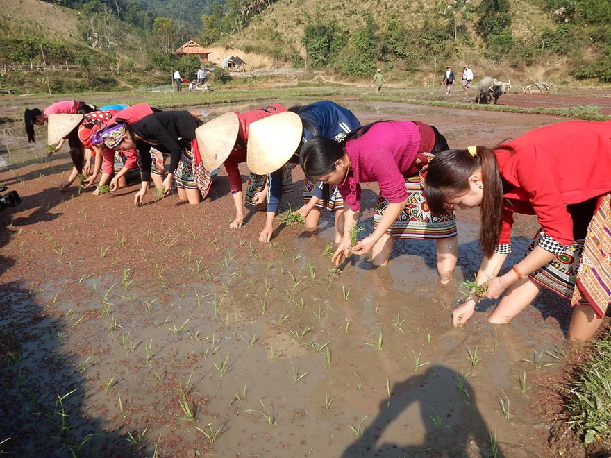 Bà con xuống đồng chuẩn bị một vụ mùa mới mưa thuận gió hòa, bội thu.