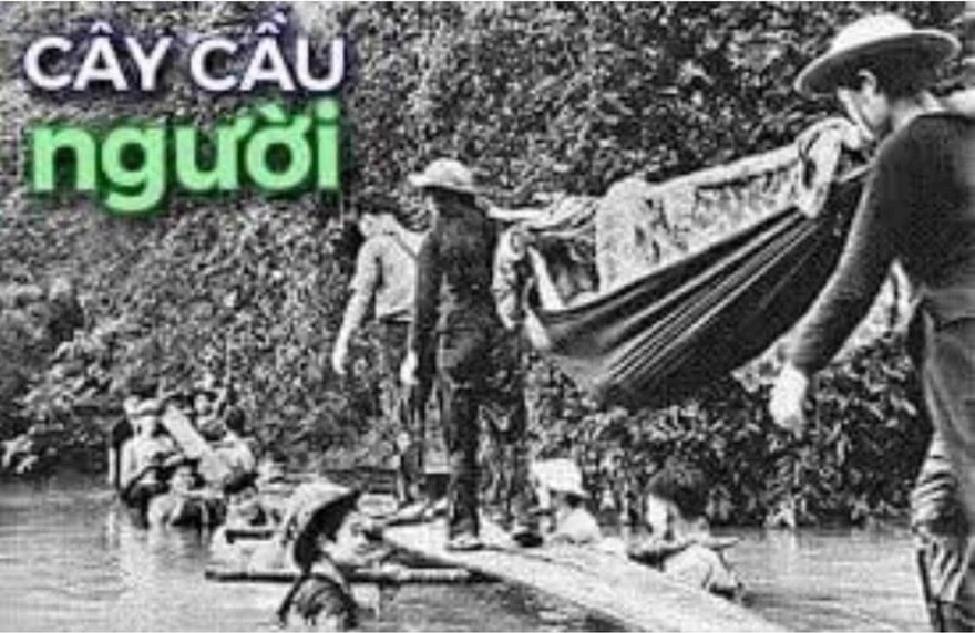 Cầu người - Cây cầu đẹp nhất