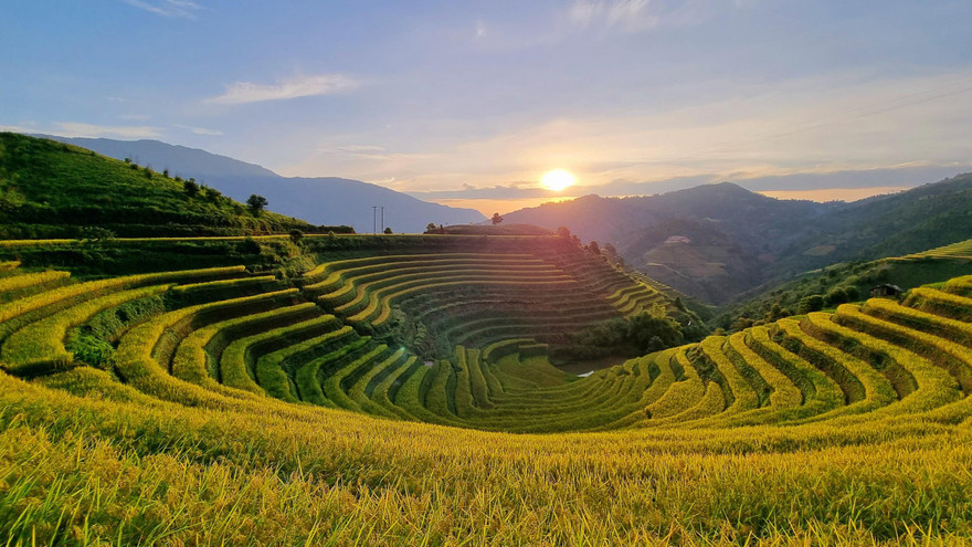 Mê mẩn mùa vàng nơi rẻo cao Mù Cang Chải