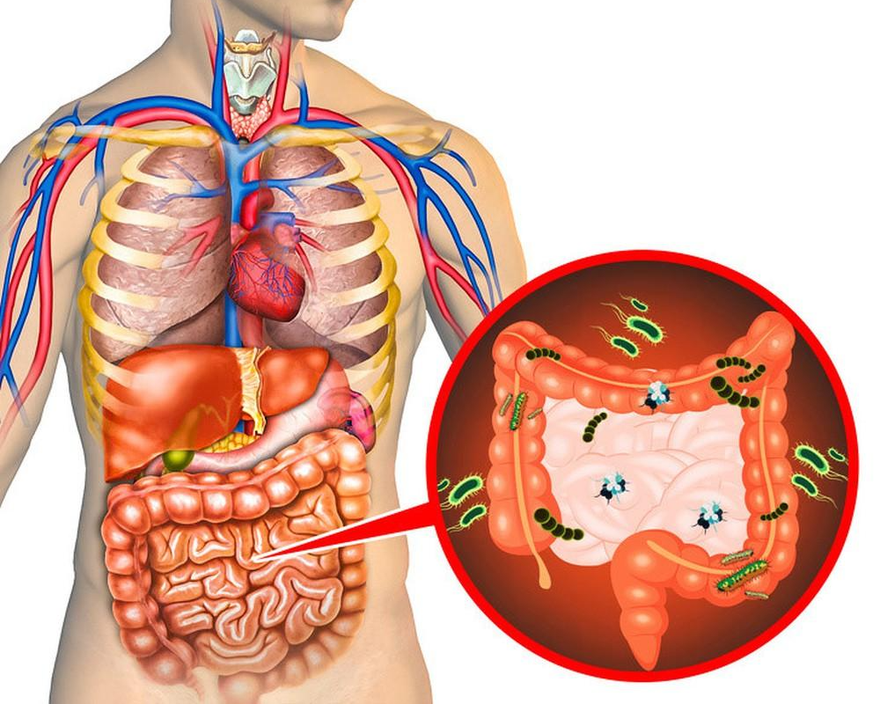 Những dấu hiệu nội tạng đang chứa lượng ‘rác’ quá lớn, cần thanh lọc độc tố ngay