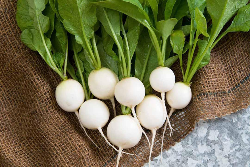 Củ cải trắng cực tốt nhưng có thể hóa 'chất độc' khi kết hợp với những thứ này