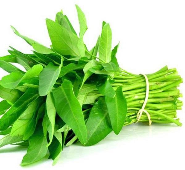 Những sai lầm khi ăn rau muống có thể gây ngộ độc, rước bệnh cho cả nhà