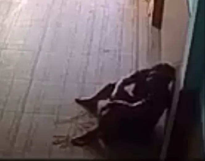 Bà H bất tỉnh với nhiều vết chém