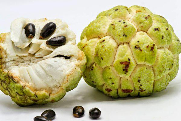 Ảnh minh họa: Internet