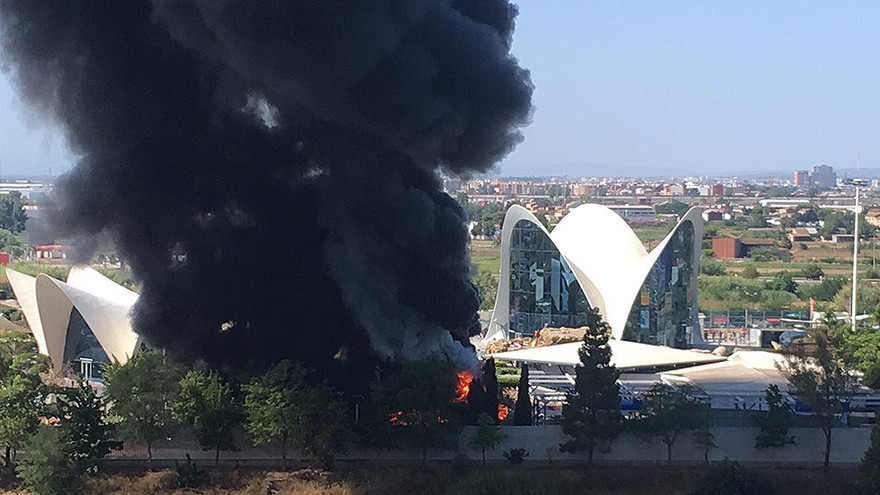 Viện Hải dương Oceanografic là một trong những thủy cung lớn nhất ở châu Âu. Ảnh: Twitter