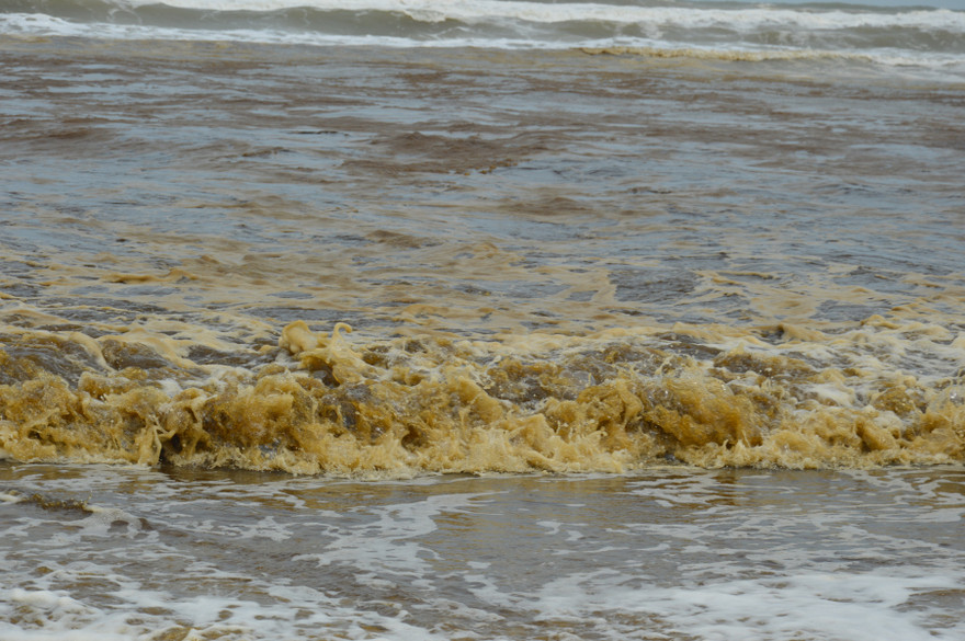 Nước biển tại Khe Hai, thôn Trung An, xã Bình Thạnh, huyện Bình Sơn, tỉnh Quảng Ngãi đổi màu bất thường. Ảnh Nguyễn Ngọc