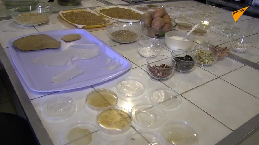 Các nhà khoa học Nga đã tạo ra bát đĩa ăn được