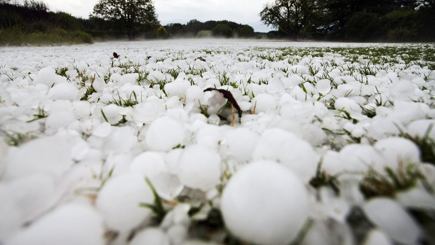 Hình ảnh những hạt mưa đá trên bề mặt cỏ. Ảnh: RT
