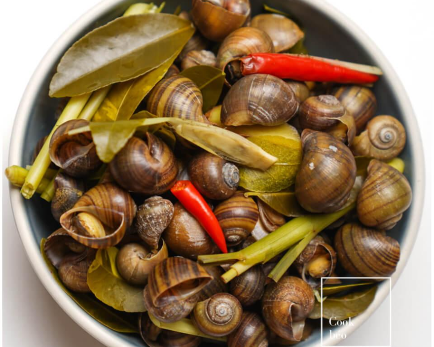 Những 'đại kỵ' khi ăn ốc, biết mà tránh kẻo rước thêm bệnh vào thân