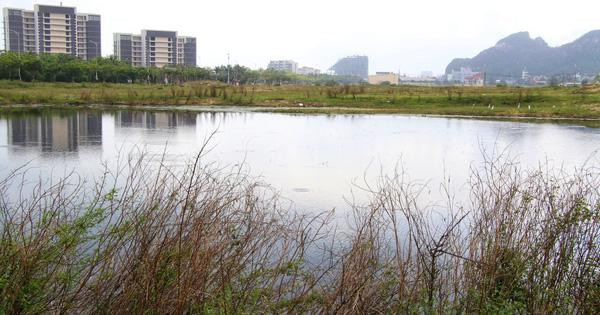 2 khu đất liên quan vụ giám đốc doanh nghiệp uống thuốc tự tử tại tòa giờ ra sao?