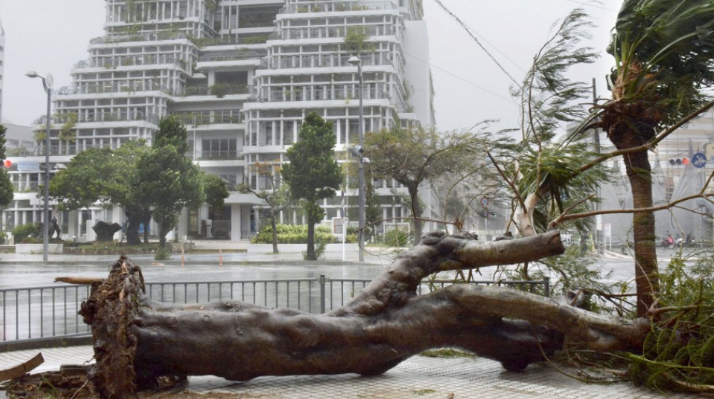 Bão lớn đổ bộ Nhật Bản, gần 300 chuyến bay bị hủy