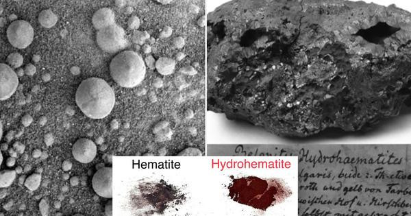 Sinh vật Sao Hỏa là thứ đã xuất hiện ở Trái Đất hồi thế kỷ 19?
