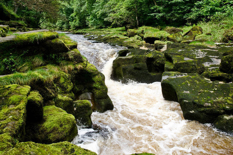Dòng suối Bolton Strid ở Yorkshire, Anh